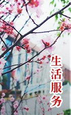 师德师风投诉举报电话及邮箱