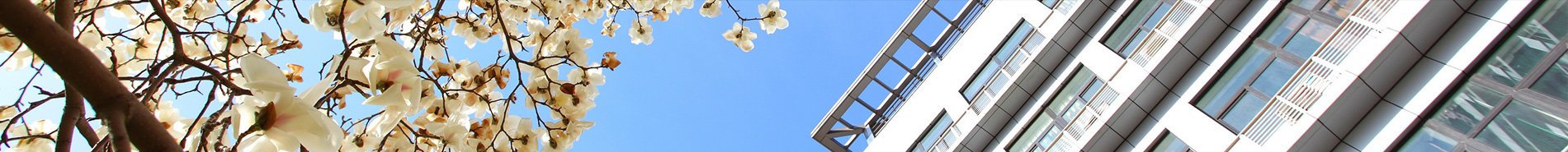 1973年12月生